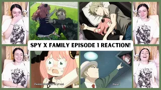 Spy x Family Episode 1 Reaction! (reupload)