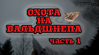 Весенняя охота на вальдшнепа. Открытие удалось. Часть 1.