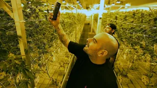 Berner Visits the Cookies { New Mexico } Cultivation Facility
