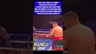 Brutal KO of Deontay Wilder to a broken neck