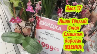 Влог 17. Орхидеи в Ашане после 8 Марта. Уценки которые не доживут до завтра за 300 рублей (