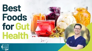 Best Foods For Gut Health | Dr. Will Bulsiewicz Live Q&A on The Exam Room