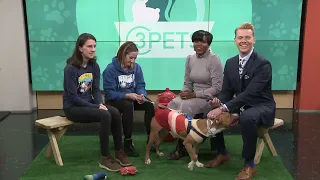 Ready Pet GO! Phillip from City Dogs Cleveland visits 3News