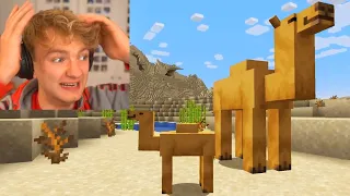 Tommy reacts to Camels in Minecraft