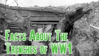 Trench Warfare Facts | The Trenches of WW1