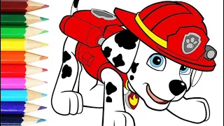 PAW Patrol Marshall Coloring (Щенячий патруль: Раскрашиваем Маршала)