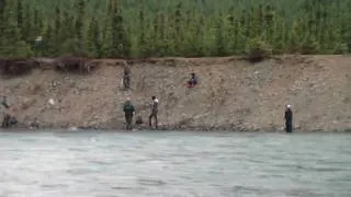 Combat fishing for Sockeye Salmon on the Kenia River Near the Russian River in Alaska 6-18-10