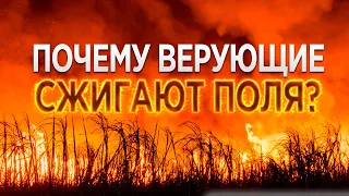 #191 Почему верующие сжигают поля? - Алексей Осокин - Библия 365 (2 сезон)