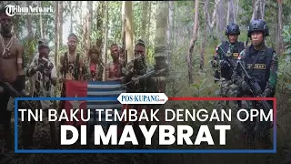 Satgas Batalyon Yudha Sakti Baku Tembak dengan OPM di Maybrat