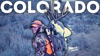 EP 2- Colorado Late Season Mule Deer