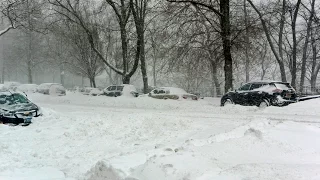 Severe Snow Storm Jonas in Brooklyn, New York. January 23, 2016