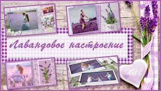 Бесплатно. Лавандовое настроение | Lavender mood | Free project ProShow Producer