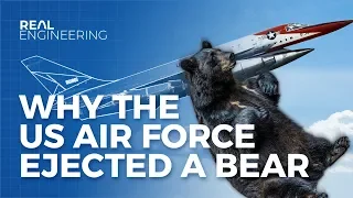 Why The US Airforce Ejected a Bear