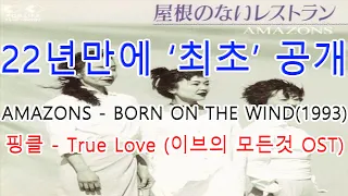AMAZONS-BORN ON THE WIND(1993)-핑클-True Love(이브의 모든 것 OST) 원곡