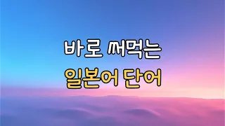 일본여행가서 바로 써먹을수 있는 일본어 단어들 모음! 단어만 알아도 통해요!