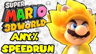 Super Mario 3D World Speedrun - First Attempt!