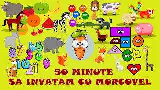 50 Minute Sa invatam cu Morcovel (Zilele, Lunile, Anotimpurile, Alfabetul, Numerele, Culorile...)