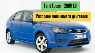 Расположение номера двигателя Ford Focus 2 (Форд Фокус 2) 1.6, 2009