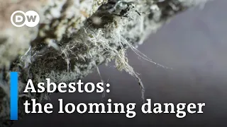 Why asbestos still remains a global hazard | DW News