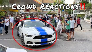 THEY STOPPED MUSTANG FOR REVVS | CRAZY ACCELERATIONS Ft. Lamborghini , Ferrari, Porsche Etc..