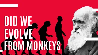 The Theory Of Evolution: explained simply in 5 minutes!