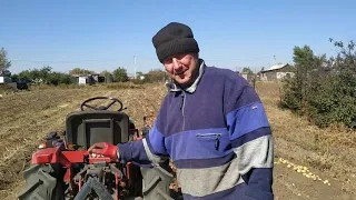 Копаем картофель вибролапой 17.09.2022 год .Digging potatoes 09/17/2022