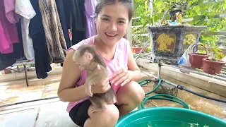 Oh My God, So Cute, Baby Monkey Kiti was scared when he first bathed in a large basin of water
