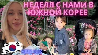 Неделя жизни в Корее/Korea vlog