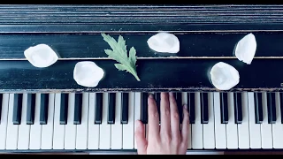 Leftover Popcorn 🍿 Level 2A | Lesson Book | Piano Adventures | Video Tutorial