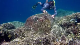 We Found An Abandoned Fish Trap On A Reef! Check Out What Was Inside!! #shorts