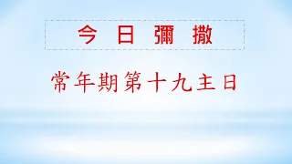 2022/08/07 (日)  常年期第十九主日 網路直播