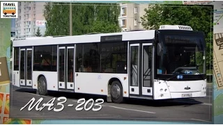 "Транспорт в России". Автобус "МАЗ-203" | "Transport in Russia". Bus "MAZ-203"