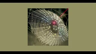 Melanie Martinez- SPIDER WEB (sped up)