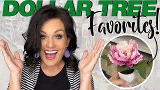 10 Things You Should Always Buy at DOLLAR TREE!