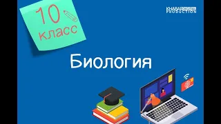 Биология. 10 класс. Проводящая система сердца. Механизм автоматии сердца