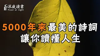 5000年來最美的10首詩詞，讓你讀懂人生！人生最值得挽留的是這樣【深夜讀書】