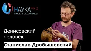 Денисовский человек: что о нём известно и где нашли? – антрополог Станислав Дробышевский | Научпоп