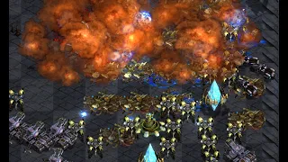 HamburgerSasu vs GasVulture! Nibbler! Semizeu007! FME! Phantom! CRAZY CRITTERS FFA - StarCraft 2024