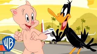 Looney Tunes en Español 🇪🇸 | ¡De vacaciones de primavera! | WB Kids