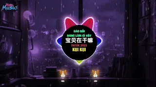 Kui Kui - 宝贝在干嘛 (抖音版 Tiktok 2023) 宝贝为啥没回话 Bảo Bối Đang Làm Gì Vậy (Tiktok Remix) || Hot Douyin