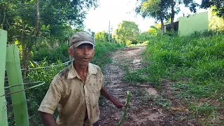 FOMOS VISITAR O TOEZINHO E VER COMO ESTA AS COISAS POR LA E O MISTÉRIO CONTINUA MUDOU OU AINDA NÃO ?