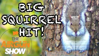 The Airgun Show | Ultimate Squirrel Hunting | Crosman Prospect PCP Review