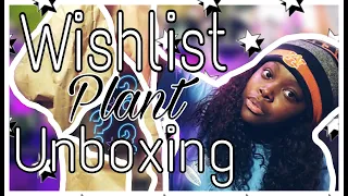 First Wishlist Plant Unboxing! | Buying Plants form Mercari!