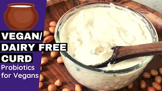 Vegan / Dairy Free Curd Recipe | Probiotics For Vegans | How to Make Easy Vegan Peanut Curd At Home