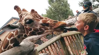 FORGET BABIES! Funny KIDS vs ZOO ANIMALS ARE WAY FUNNIER! - TRY NOT TO LAUGH Challenge