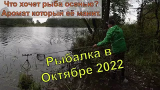 Рыбалка на фидер Октябрь 2022. Что любит рыба осенью. Активатор клева по холодной воде на рыбалке.