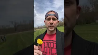 Can I Eat Dandelions? - Doctor Reacts #shorts