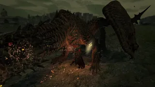 Dragons Dogma. Стальной комплект брони.