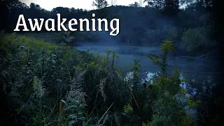 Awakening - Prologue (1/11)