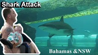 Shark Bites 10-year-old Child in the Bahamas, Bull Shark Attack in New South Wales